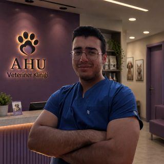 Ali Dalkılıç